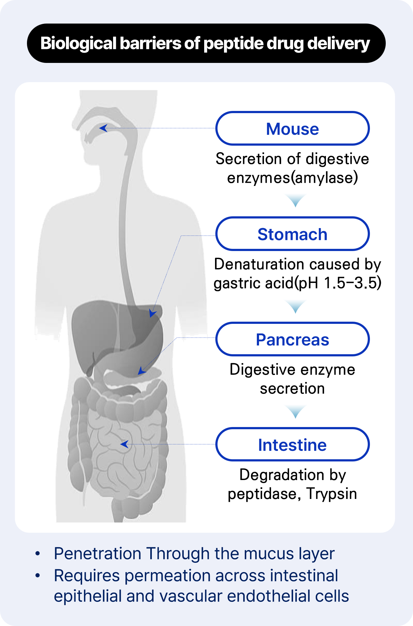 Medicine Image 1